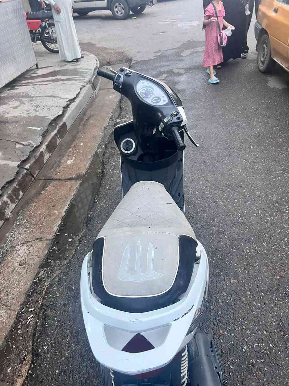 ثعلب • مخدم • زنون