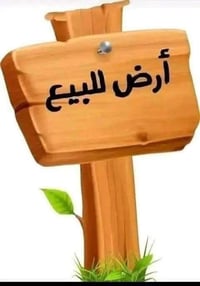 قضاء بلد • ١٢٥م • طابو صرف