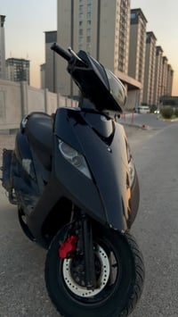 ثعلب نوزل • ١٤٠ • ٢٠٠٧