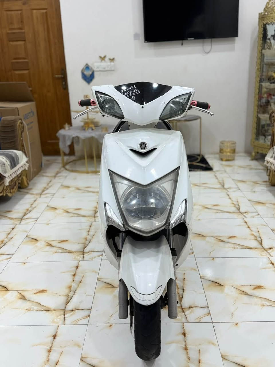 سكنس • ياباني • مكفوله