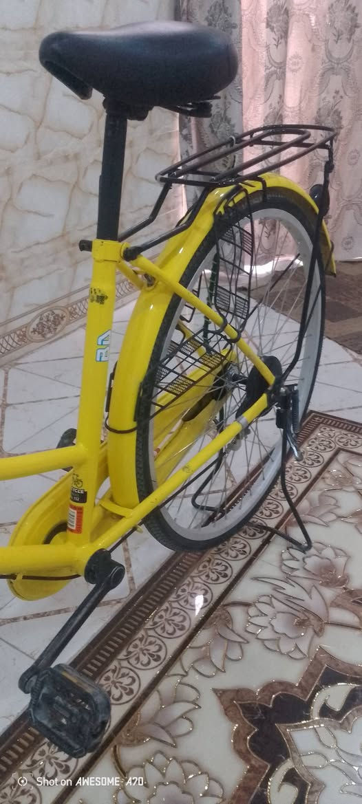 باسكل • مقاس ٢٦ • موديل ٢٠٢٢
