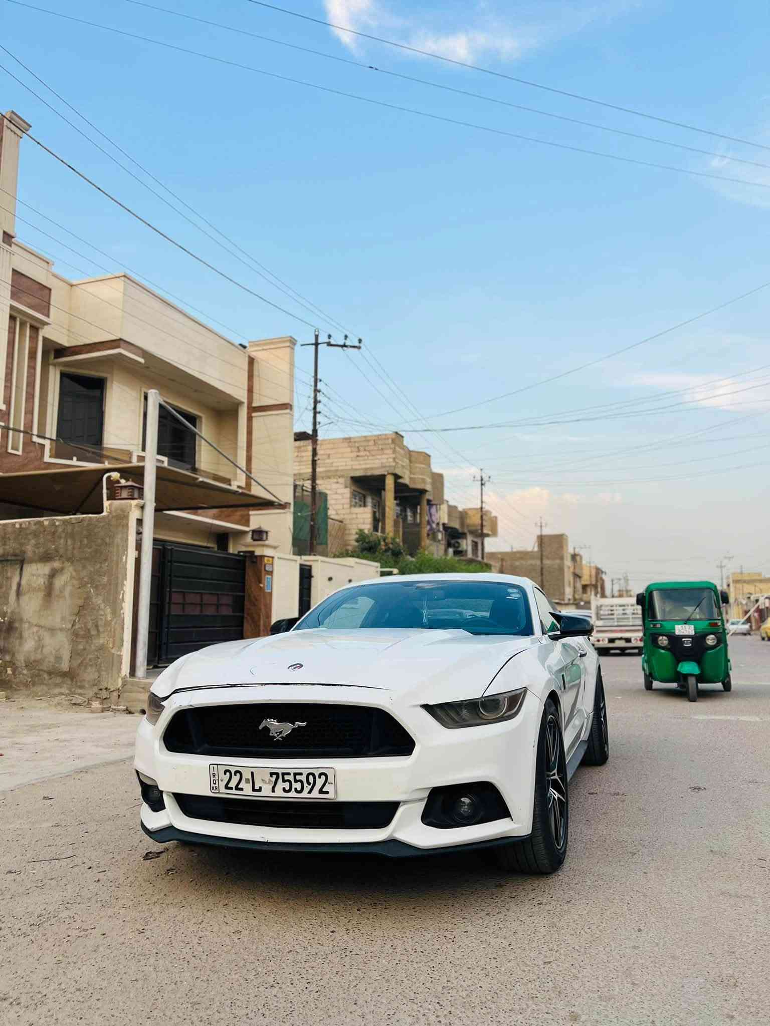 موستنك • ٢٠١٧ • ضرر