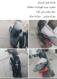 فراشة • فحل كرستال • تجفيت جديد