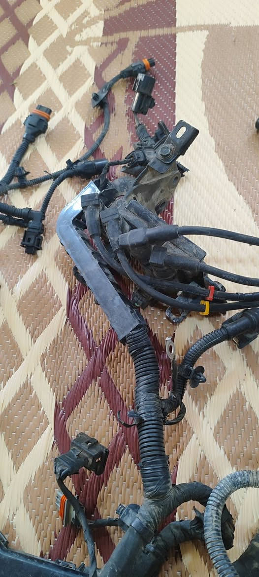 للبيع
غراض اكسنت خليجي للبيع 

عقل +ضفيره كامله 

مال محرك 14

ادفع  سعر 

تواصل على الرقم ***********
المكان الموصل
