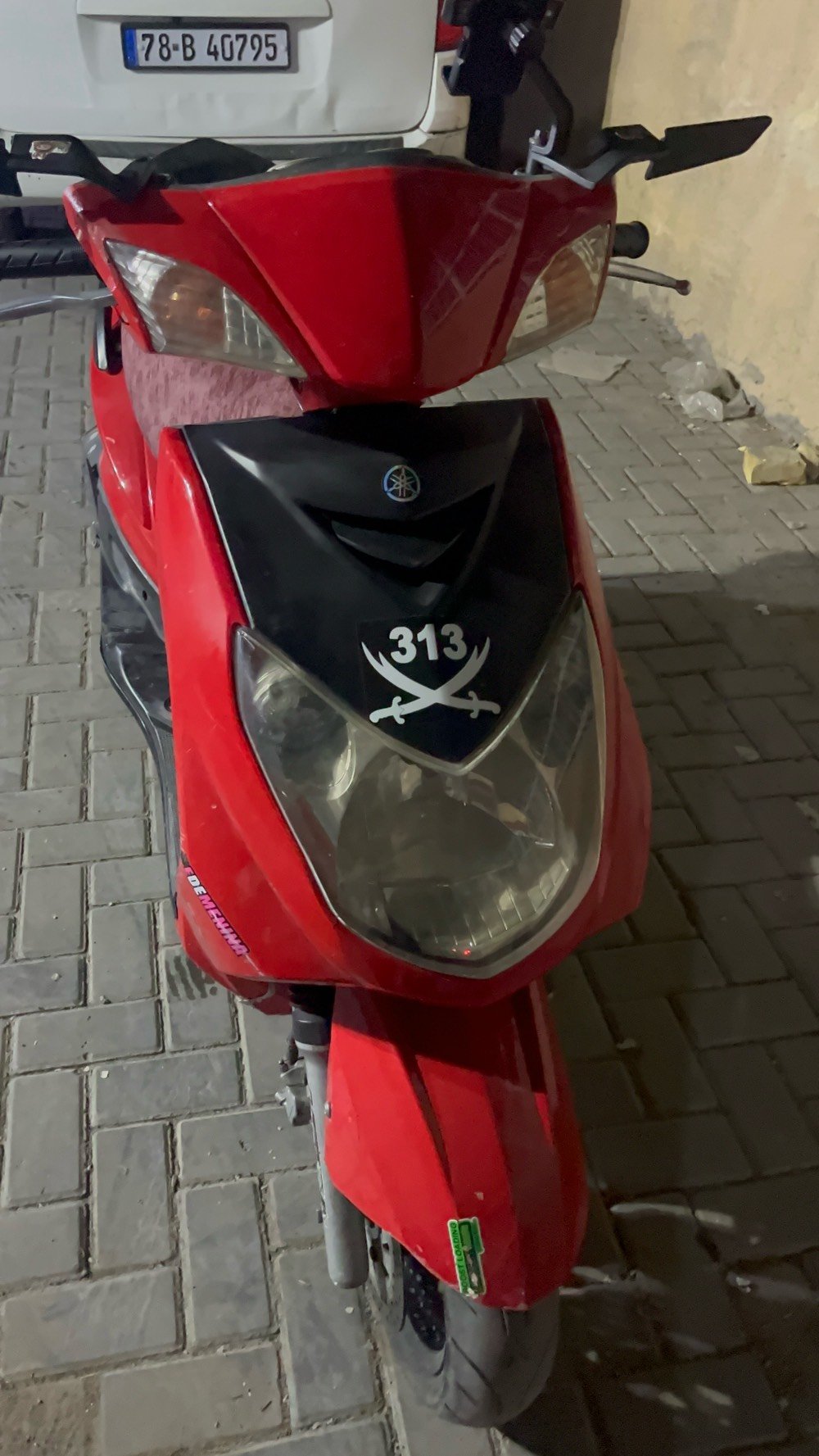 سكنس فحل • نوزل خطين • زنون اصلي