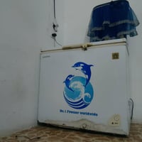 مجمد • شغال • نادر