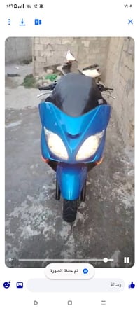 فورزا • صبغه جديده • مكفوله