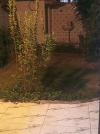 حي عدن • ٢٠٠م • ٣ غرف