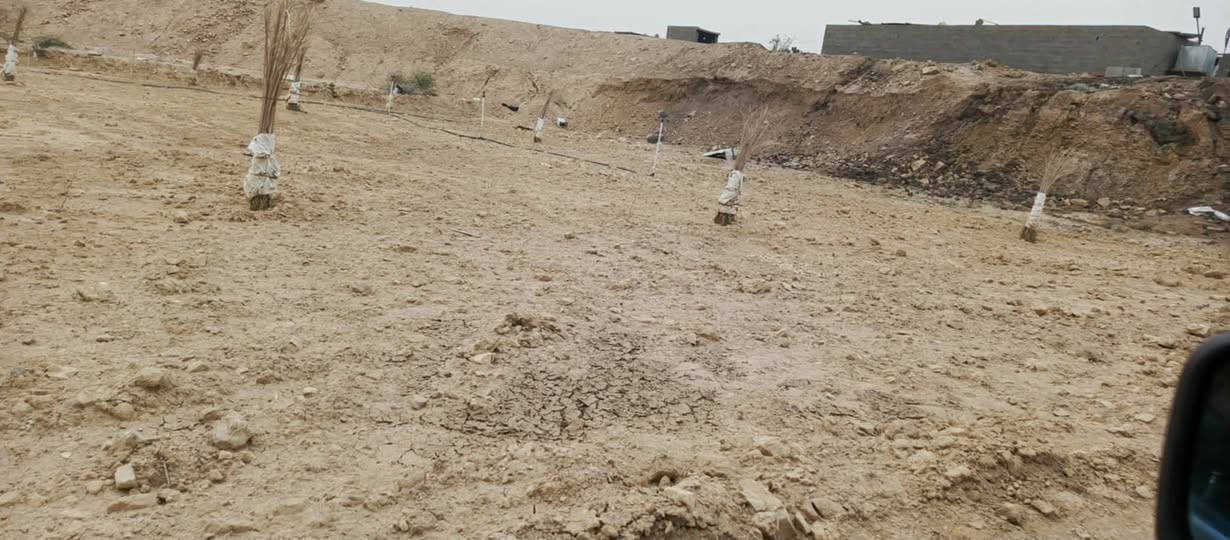 سلام علبكم
عندي قطعه ارض في حي البكر منطقة الريس قريب على مجمع جديد مساحتها 600/ الوجهيا 19ونص والنزال 31 للبيع السعر 16ونص وبيها مجال وترهم نص القطعه هم ابيعها  اكفلها من الاهالي والعشائر اي شي عليها اني اتحمل مسؤاليه ***********
