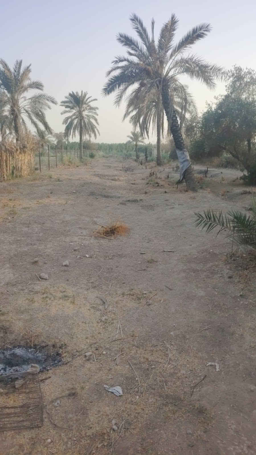 يا الله سلام عليكم يتوفر عندي دونم طابو ملك صرف عنوان لزعفرانيه عله فرع لنهر دجله خدمات كامله يصلح سكن يصلح مزرعه
