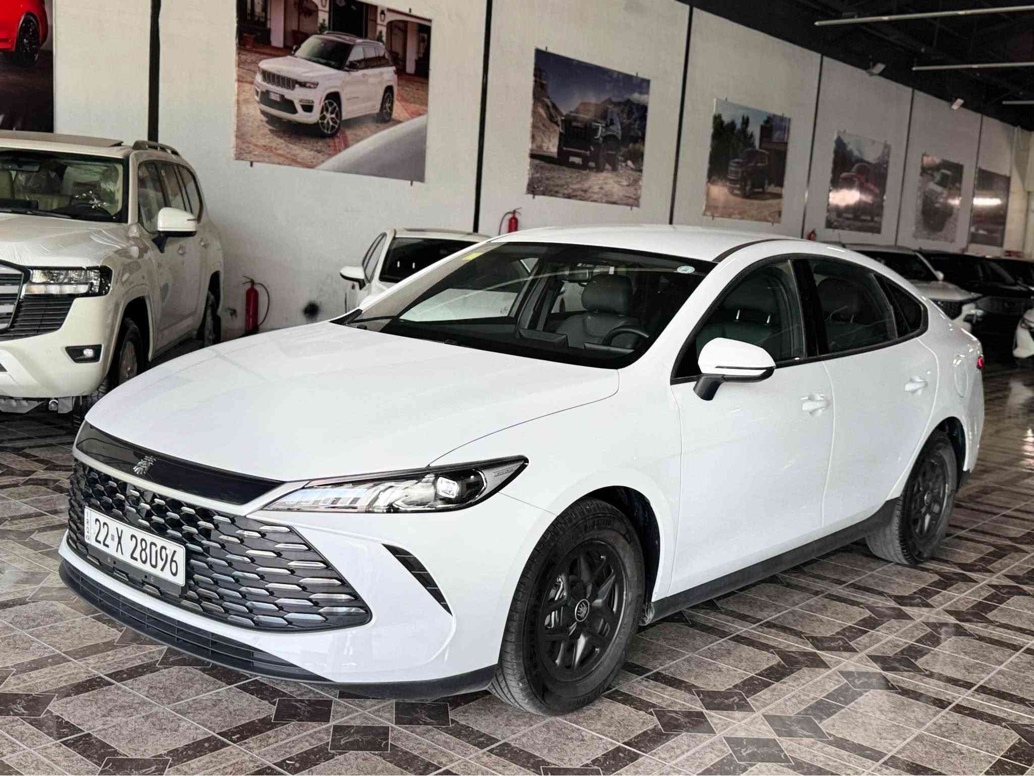 Byd quin plus 2025

9000 رويشتووة 
1 بست بةس كارتى هةية
بةناوى خومة
نرخى خلاسى 132 
تكاية بو معامةلة پةيوةندى مةكة
***********
ناونيشان اربيل أربيل, العراق
