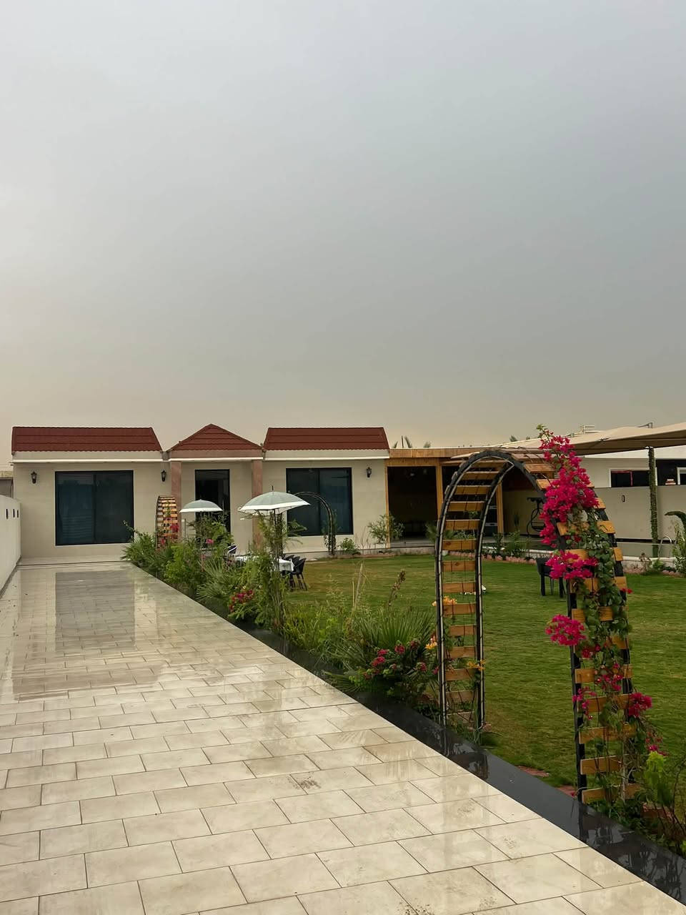 بوعيثه • الخميس مسائي