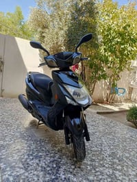 سكنس • ياباني • مكفول