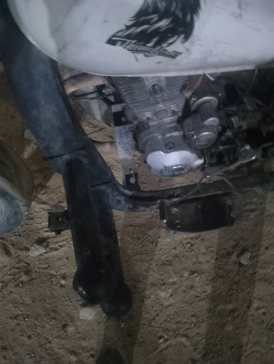 ستوت للبيع نجف رقم اسود وسنويه ماندل راعيه سعره 600- وبيه مجال ***********
