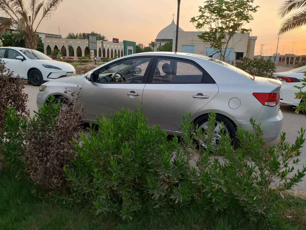 سيراتو • ٢٠١٢ • كفاله عامه