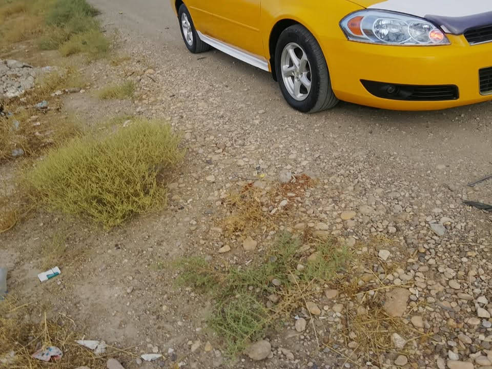 أمباله • ٢٠١١ • ديالى