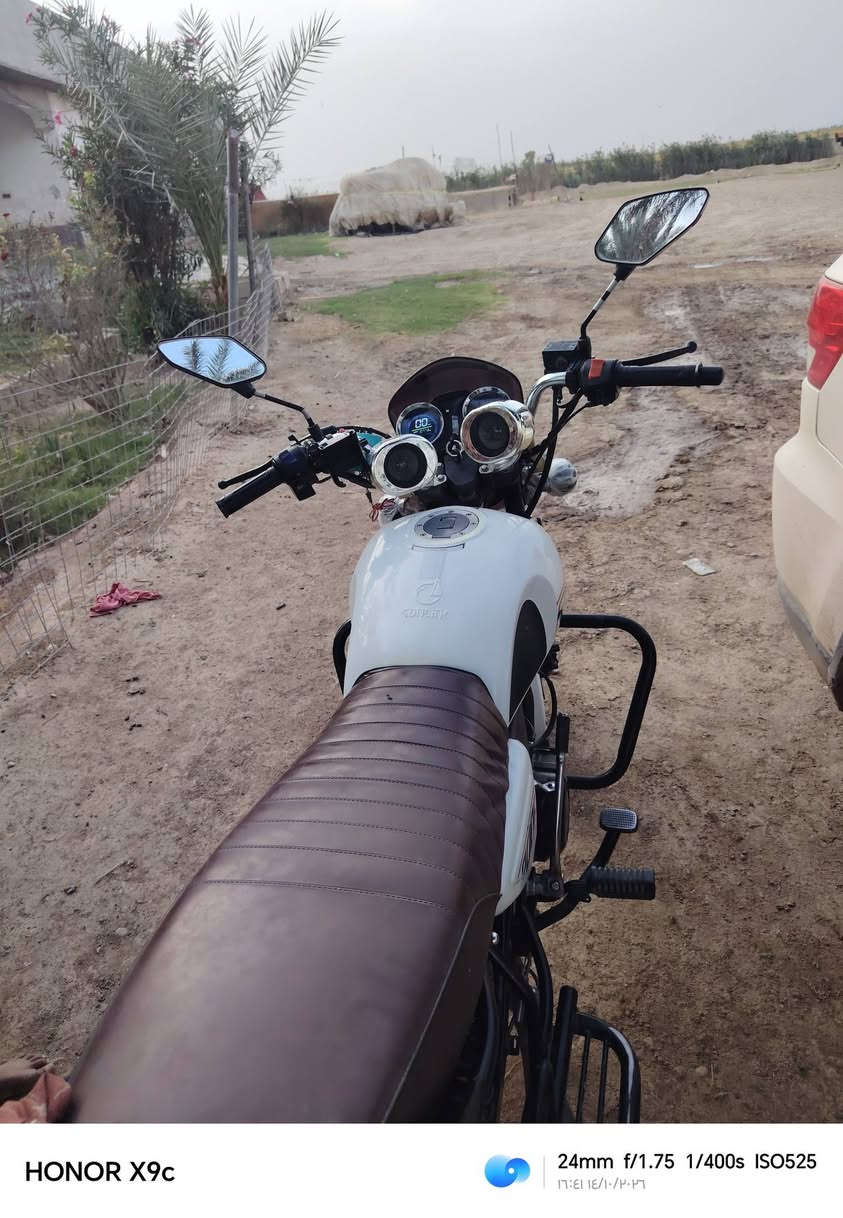 دايون سونيك • ٢٠٢٤ • اوراق كامله