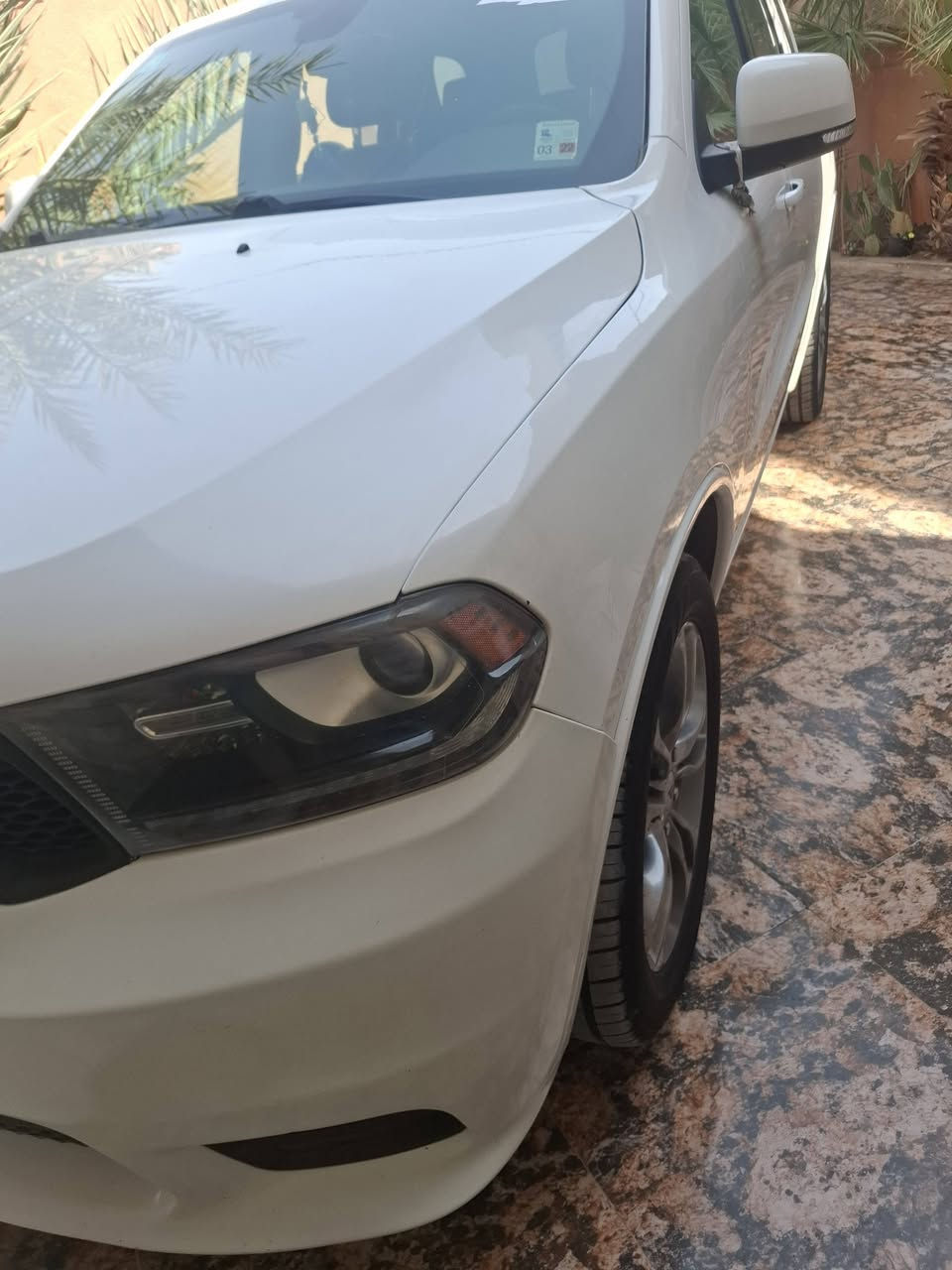 دورنكو • ٢٠١٩ • رقم بغداد