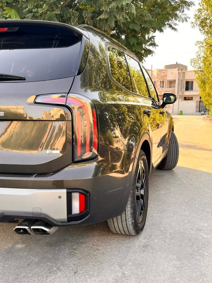 تيلورايد ٢٠٢٣ • ٧ راكب • وارد امريكي