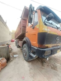 شاصي • غير مكفول • نجف