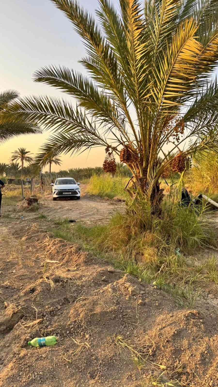 دونم مزرعه للبيع خدمات كامله  خلف جامعه بابل  سند 25 فاتح بيان تحويل مباشر
@السعر مناسب جدا   للاستفسار اكثر 

***********  فائز التميمي
