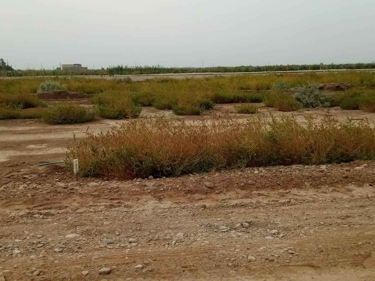 قطعه ارض للبيع للمساحه 200 مجاور اساله الماء طريق الزبيديه المجمع الجديد خدمات متوفره ماء الكهرباء سعر مناسب *********** ❤️***********
