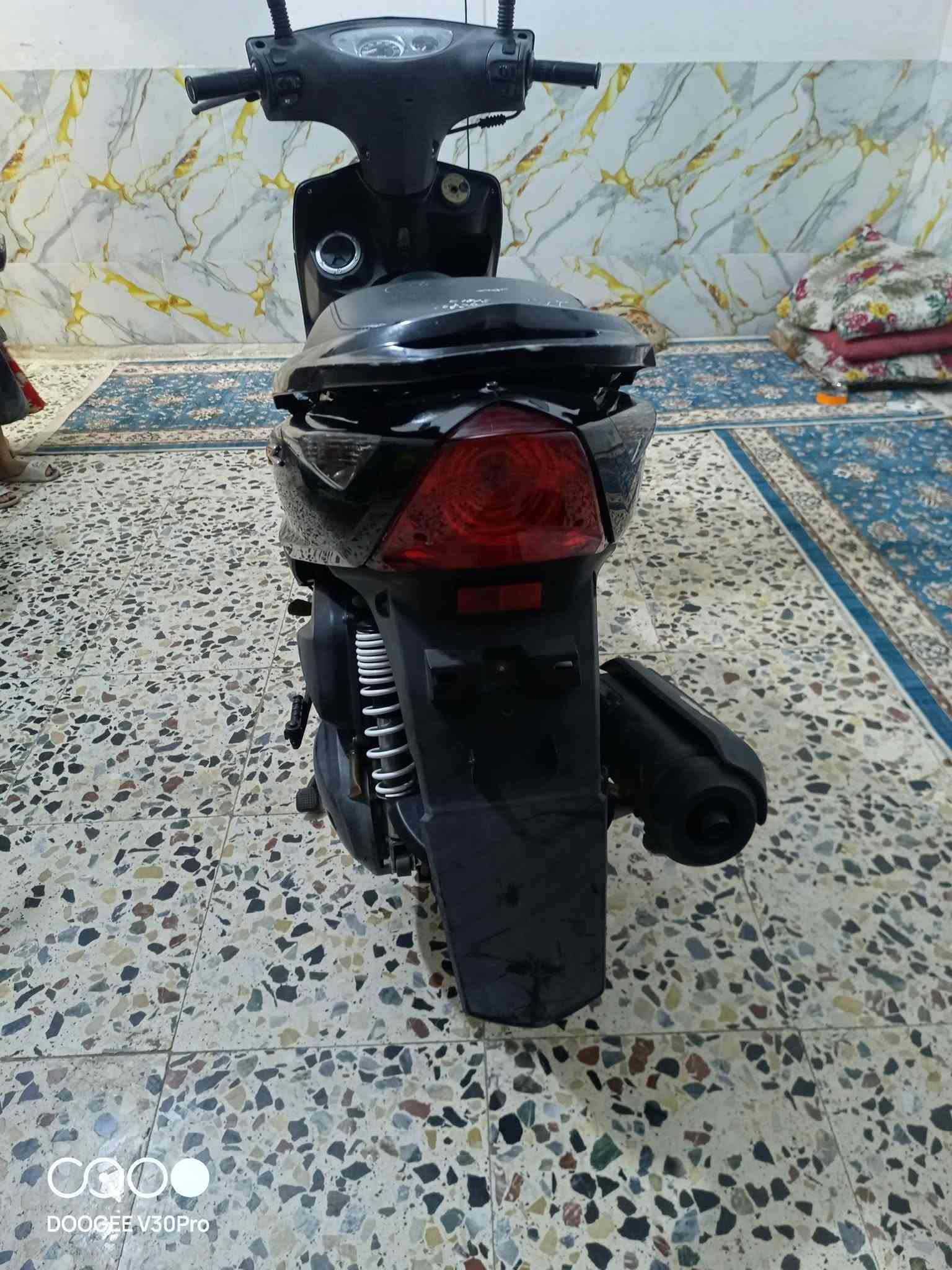 ثعلب • كفالة • ١٧٠٠٠