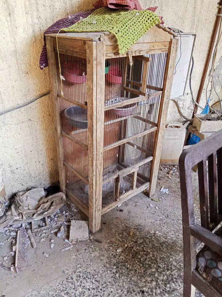 قفصين حديد وقفص خشب ب100 كلهن بغداد شارع فلسطين ***********
