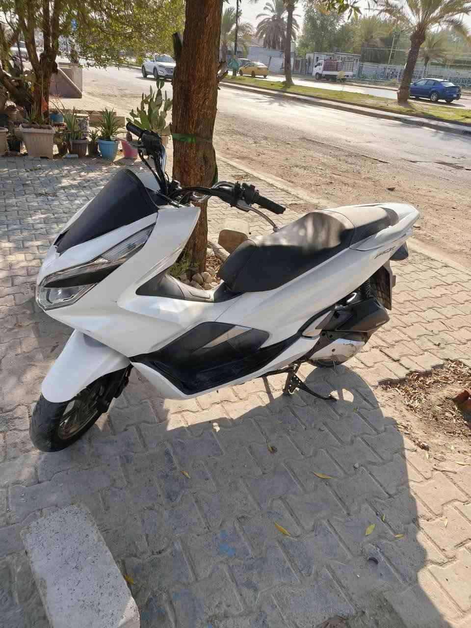 سلام عليكم بي سي إكس جيل الثالث ماليزي الدراجه نضيفه مانقصها شي بس سيت وألف راجع شي بصيط الدراجه بصمه ومانقصها شي خير من الله متوازي ع بيعتها لأن محتاج بغداد جكوك والموشراي لا يتعبني فدوه ***********
