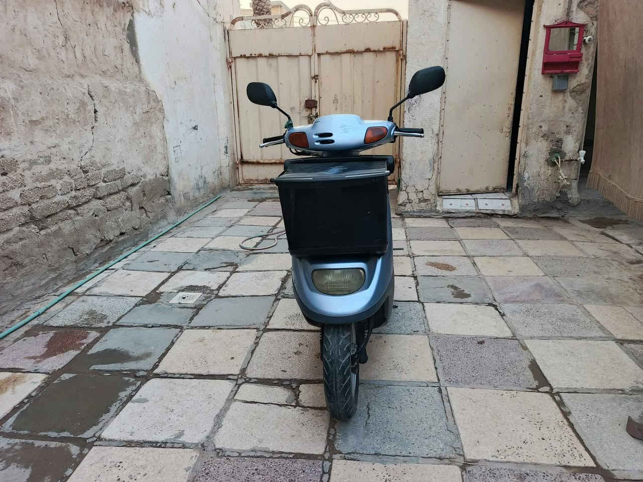 منغولي • نضيفة • كربلاء