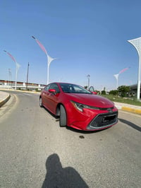 كورلا • ٢٠٢١ • رقم سليمانية