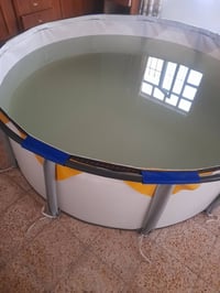 مسبح • عمق ٨٠سم • قطر ٢م