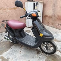 بطة • ياباني • بدون نواقص