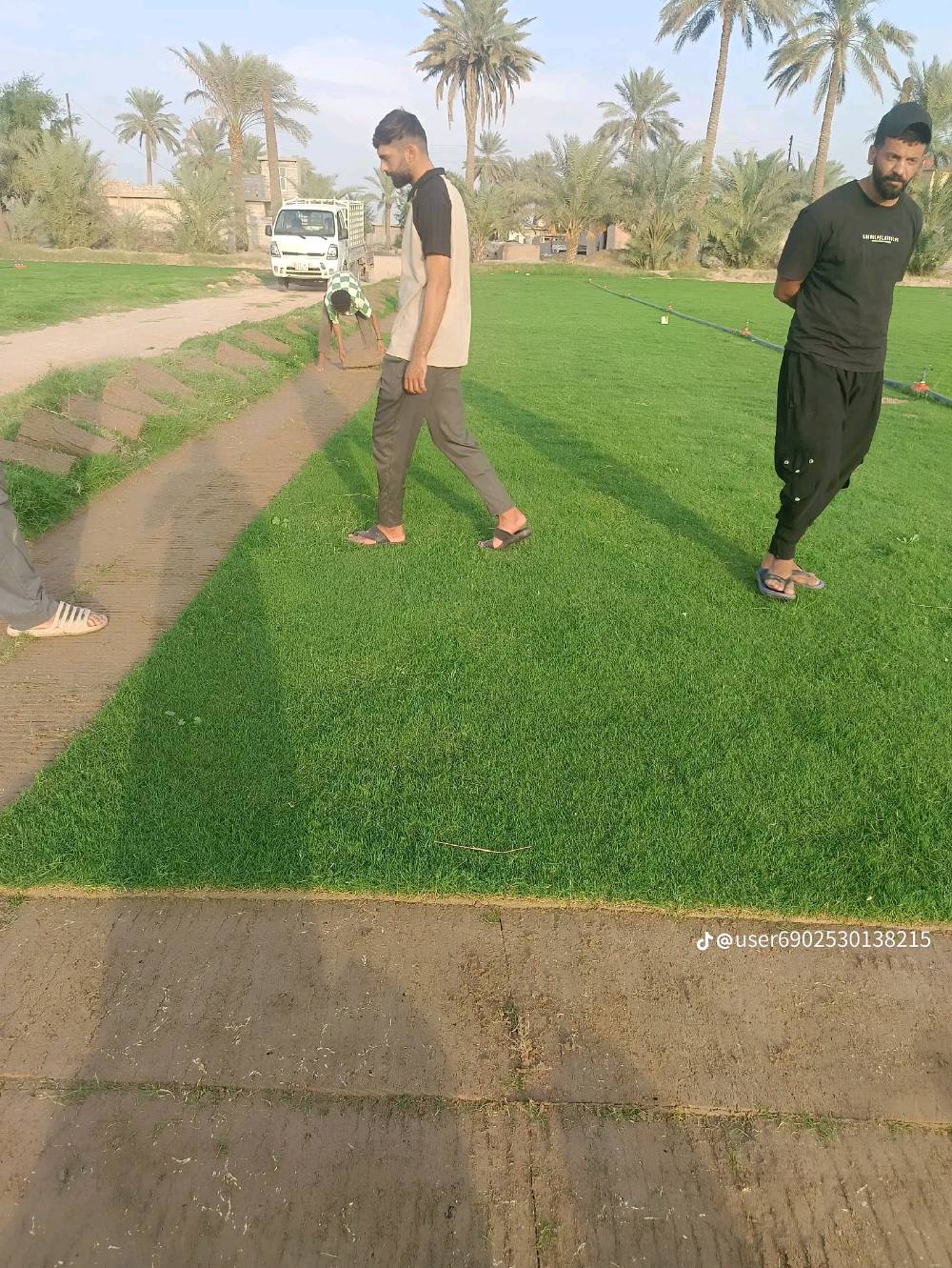 ثيل طبيعي • تجهيز مشاريع • توصيل سريع
