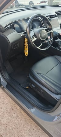 توسان ٢٠٢٤ • وراد امريكي • غرق ١٠٪