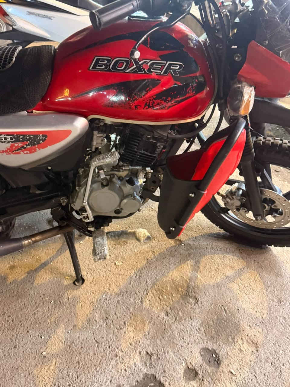 بوكسر جبلي • موديل ٢١ • باسمي