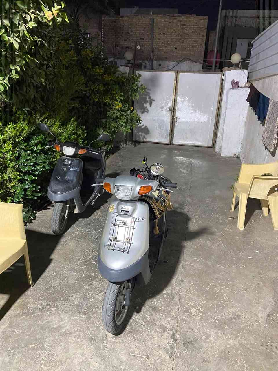 بطة • ٢٠٠٠ • سلف
