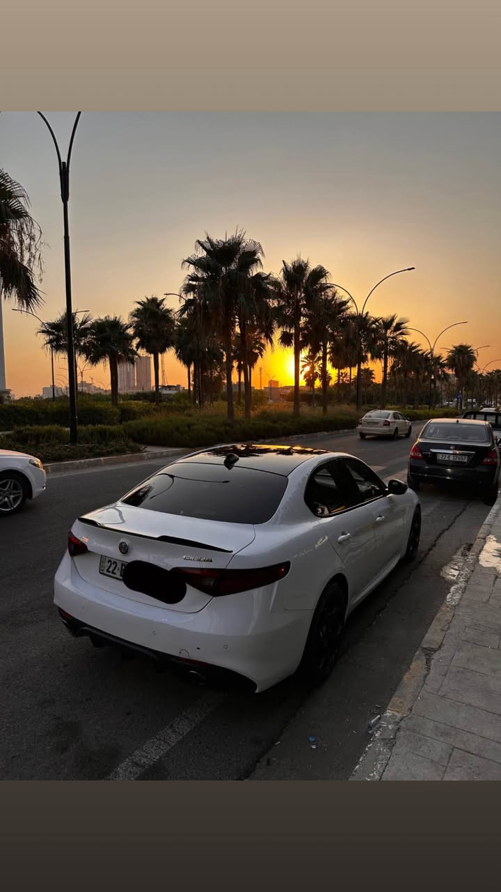 Alfa romio 20 torbo clean title🚀

سەیارەکە بێ سبوغ بێ لێدران زۆۆر پاکو خاوێن ماوەتەوە ٢ دەست بوە 
سەیارەکە بێ مەسروف بێ تەوەو رەقە ٢٥٠ دینار مەسرەفی تێدا نیە جاهزە لە هەموشتەکانی هەتا رونو بەنجیش بیلادی لە نزیکەوە لە رسمەکەی جوانترە 
قەپات مواسەفات پانۆڕاما-گوشن جلد-عەساس-گوشن کارەبا -ئاوێنە شەفت -زۆۆر مواسەفاتی تر ..
بێ کەموو کوڕی دەرەجە یەک لە جوانی گێڕو مەکینە تەبرید بە شەرت ساڵۆنسای سپۆرتی لەسەرە سەوتەچی خۆشی لەسەرە بە نسبەت بە ناو کردن تەعویل هەمووشت بە شەرت ١٣ وەرەقەش غرامەی لەسەرە دەگەڕێتەوە لەبۆت بۆ زانیاری زیاتر پەیوەندی بکەن 0️⃣7️⃣5️⃣0️⃣9️⃣0️⃣3️⃣2️⃣4️⃣0️⃣3️⃣ أربيل, العراق
