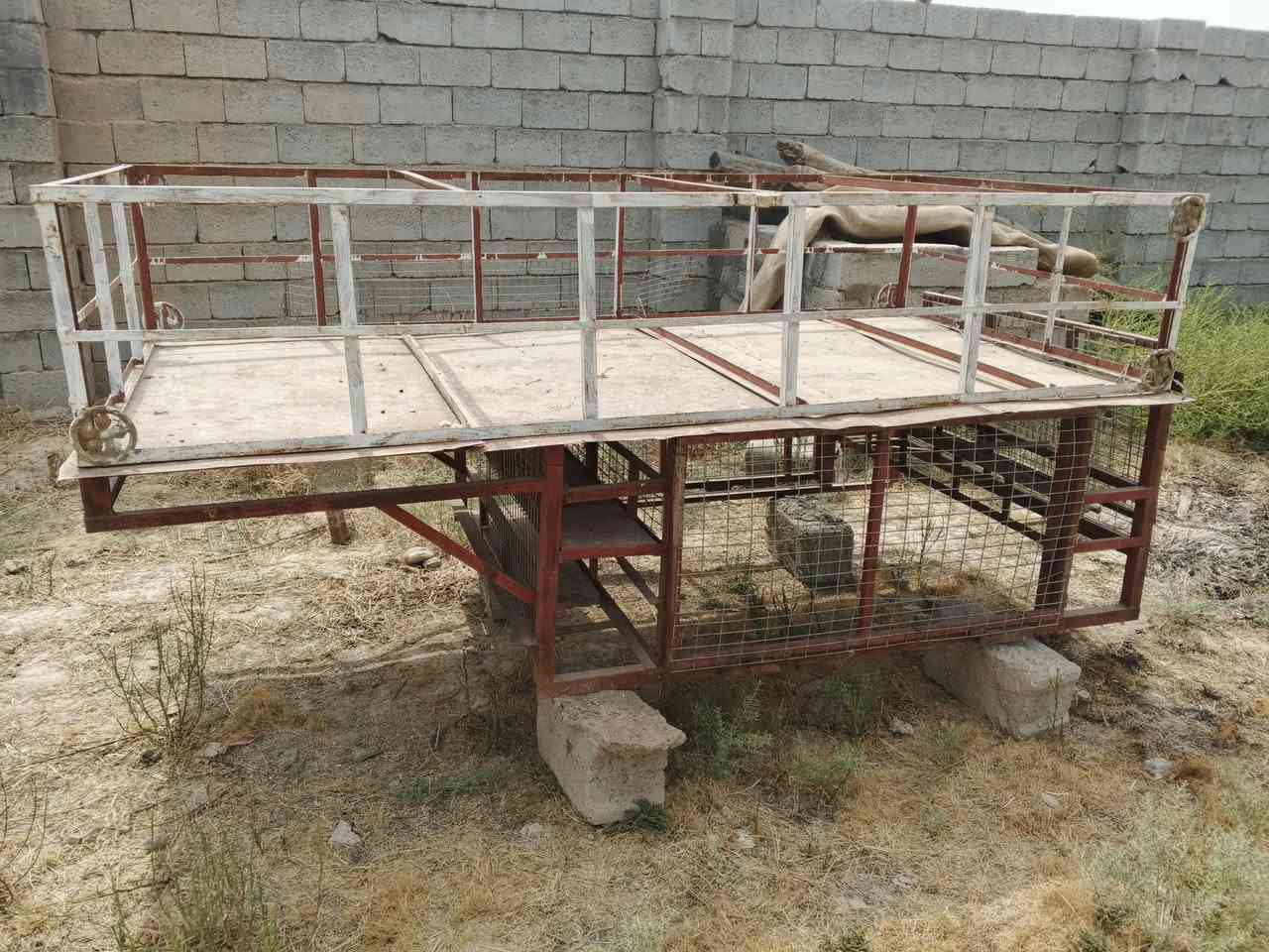 سلام عليكم ورحمة الله وبركاتة
اخوان عندي محجر ستوته حاجه الف البيع محجر قاطين وبي ارفوف 
الي يعجبه مراسله الصفحه او التصال ***********

حمزه العبيدي ضيٰاء الہٰعبٰٰيٰديٰ  صفاء المفرجي
