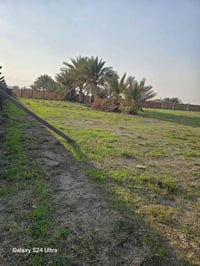 خلف جامعه بابل • ٢٥٠٠م • سند ٢٥ تحويل مباشر