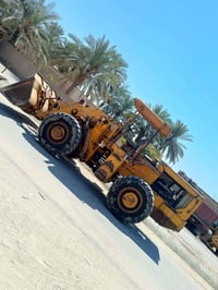 شفل • ١٩٨١ • بصره