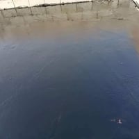 تركيب شتايكر • قلع شتايكر • تبديل ماستك