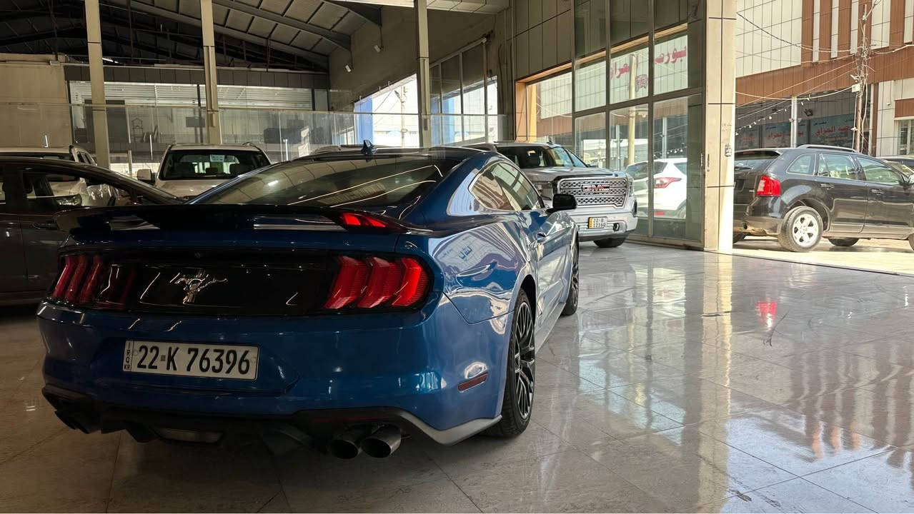 فؤرت مؤستانك ECOBoost premiumمؤديل2021ره نگى شين5پارچه به خ 4پستن فول مواسفات شوين هه ولير ره قه م مؤبايل *********** أربيل, العراق
