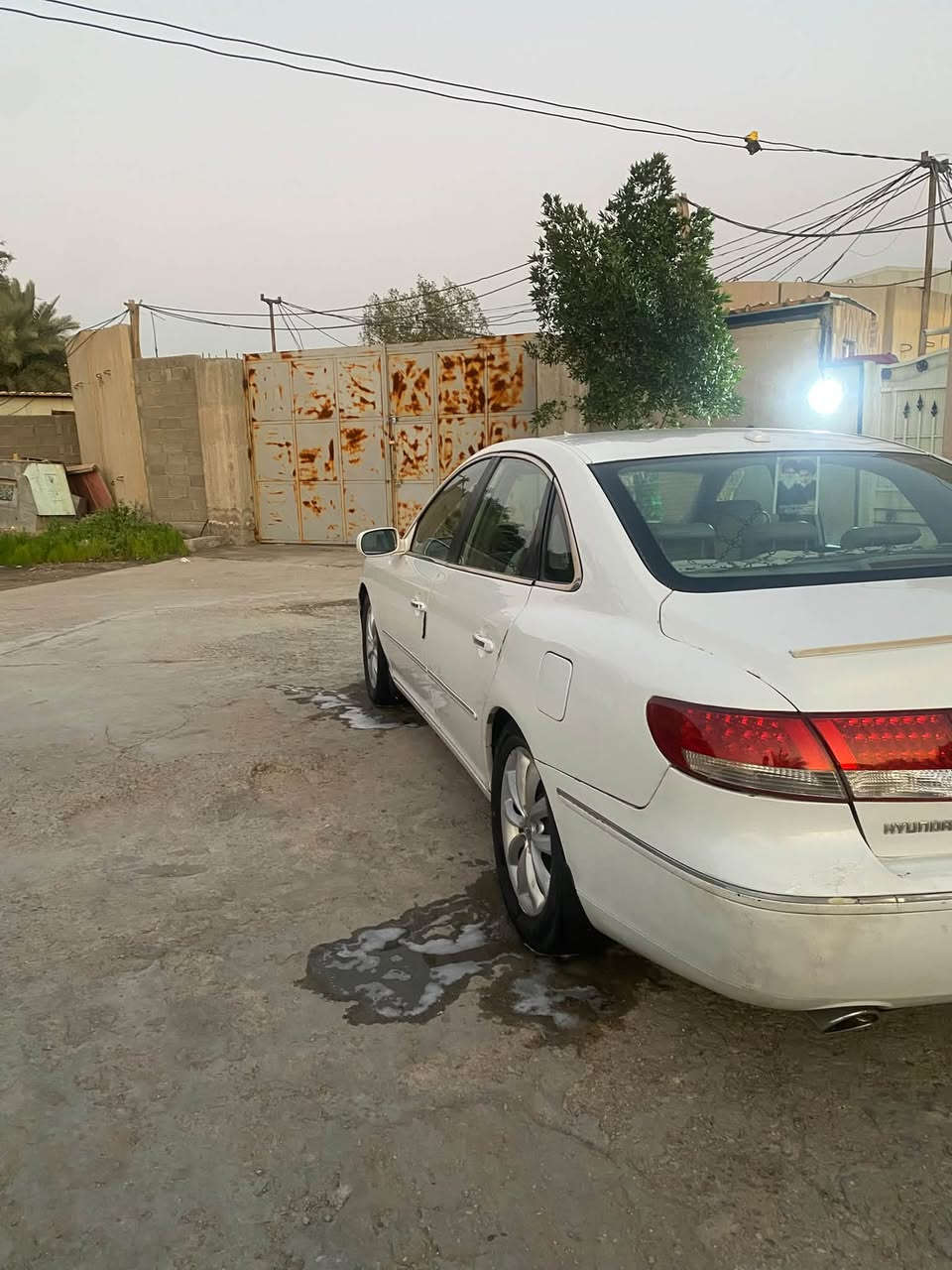 زيره • ٢٠٠٧ • ورقة