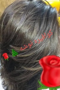 صبغ شعر • ميش شعر • دي 8 شقه 42