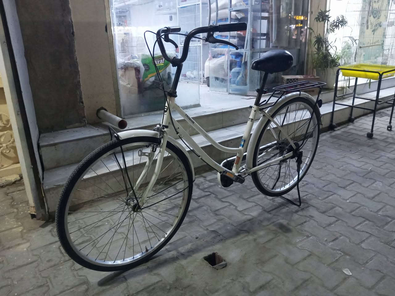 باسكال • موديل ١٩ • حجم ٢٦