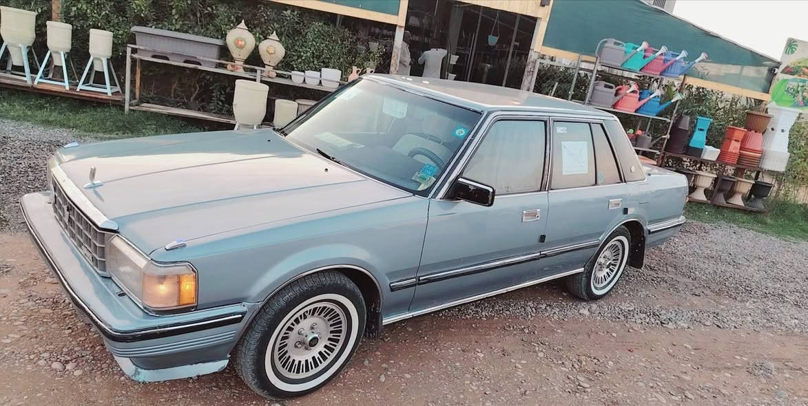 سلام عليكم
سوبر للبيع موديل 1984

بسمي تحويل ثاني يوم

تبريد قطعتين وثلاج خلفيه 🥶كلو يشتقل بلاد 

كير محرك بلاد 

 صدر تاير كلو جديد سبير شركه موجود 

صبغ جماليه بدون شبر معجون 

سياره بعد ع وضع البلاد الستفسار ع رقم 

***********
