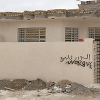 زراعي سند 25حي • ١٥٠م • غرفتين
