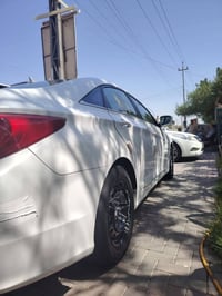 سوناته كوري • ٢٠١٤ • بدون ضربه