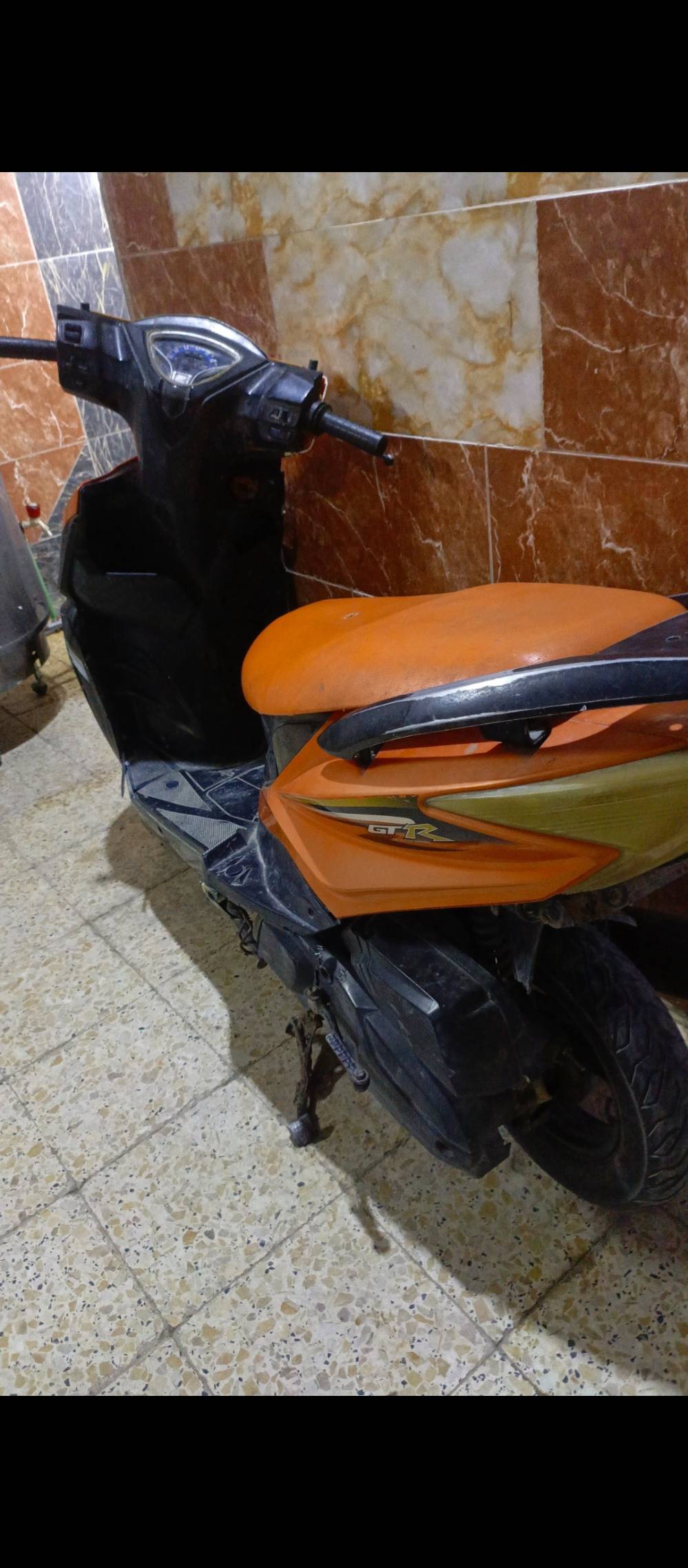 سكنس جابو • دراجة • للبيع